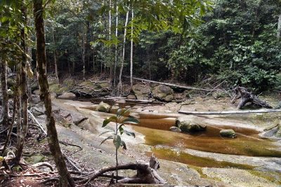 GEORREFERENCIAMENTO NA REDEFINIÇÃO DE ROTAS DA ZONA RURAL DE MANAUS